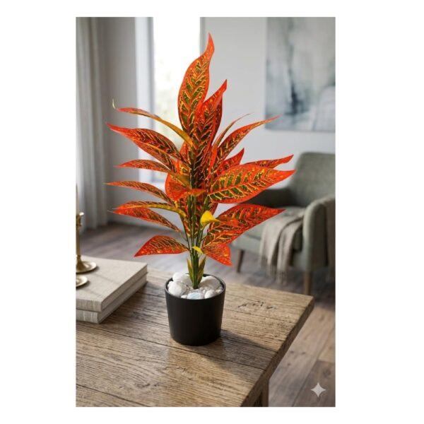 Office plants Combo