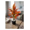 Office plants Combo