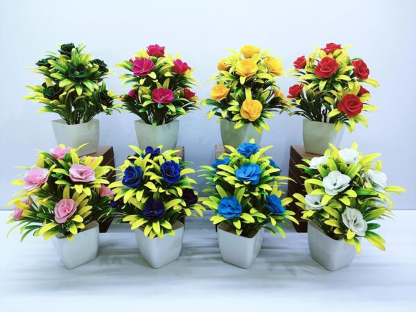 Office plants Combo