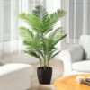 Areca Palm (Dypsis Lutescens / Butterfly Palm / Golden Cane Palm)