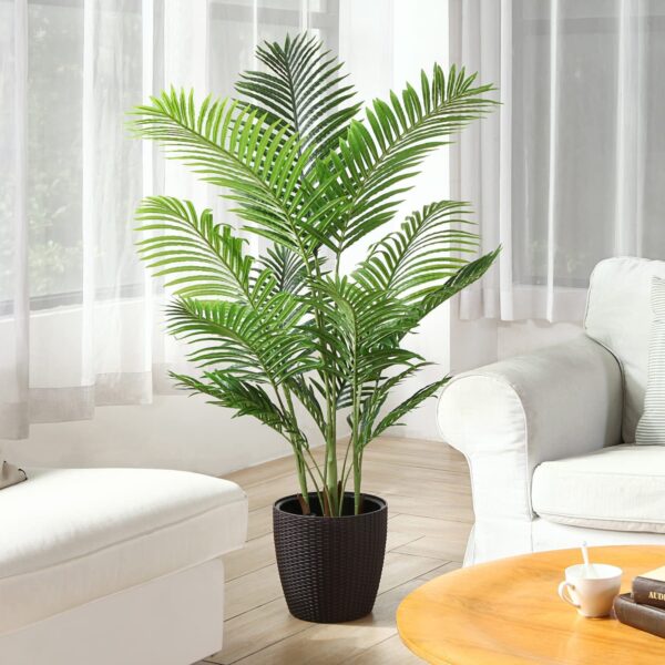 Areca Palm (Dypsis Lutescens / Butterfly Palm / Golden Cane Palm)