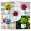 Office plants Combo