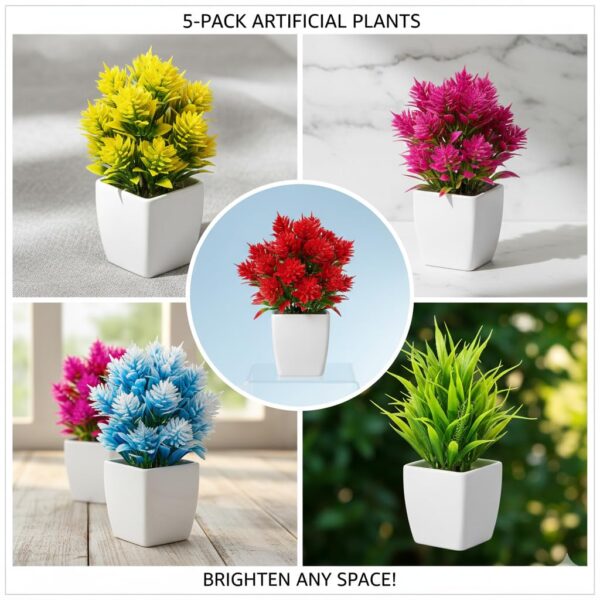 Office plants Combo